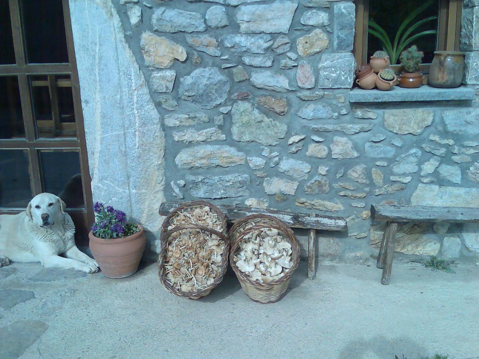 Els Torrents Otel Bellver De Cerdanya Dış mekan fotoğraf
