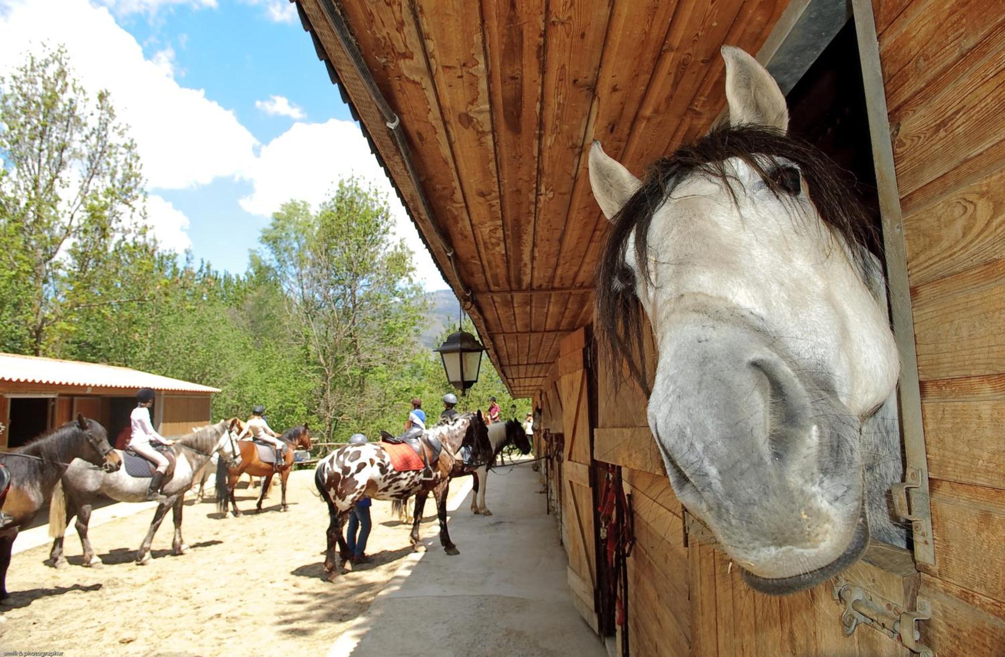 Els Torrents Otel Bellver De Cerdanya Dış mekan fotoğraf