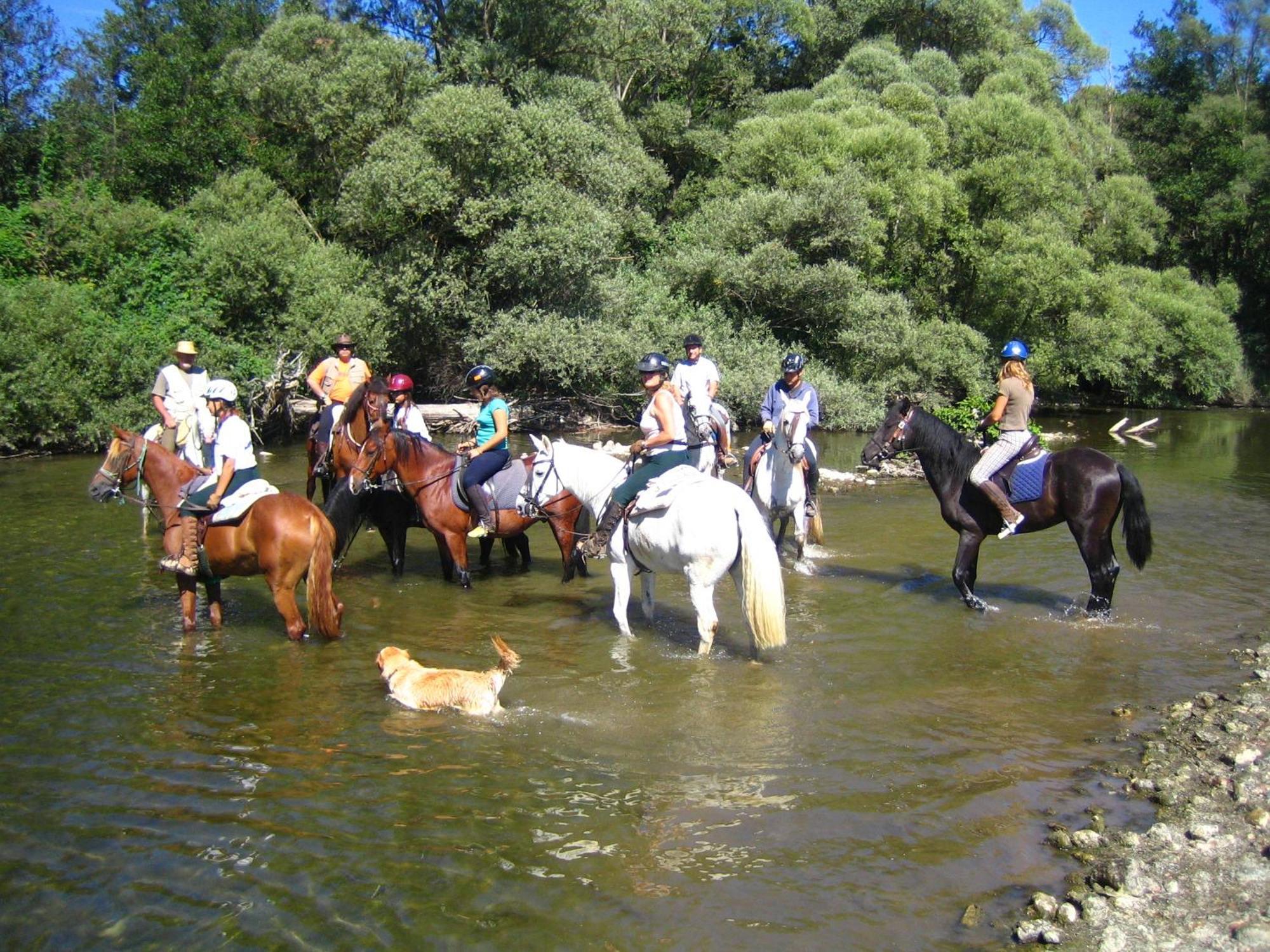 Els Torrents Otel Bellver De Cerdanya Dış mekan fotoğraf